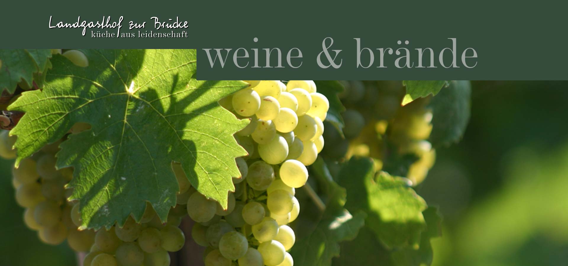 Wein in Wiesentheid Franken Bayern