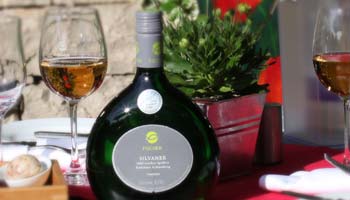 Landgasthof zur Brücke Weinland Franken