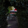 g020203-garten