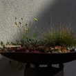 g020208-garten
