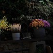g020210-garten