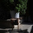 g020211-garten