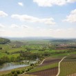 g030202-weinland