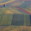g030204-weinland